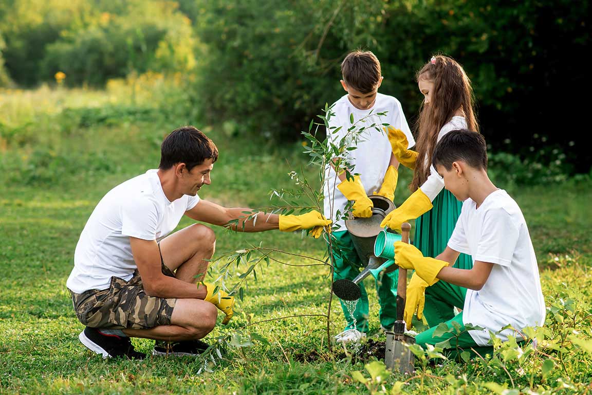 A dandelion in the grass is illuminated by a ray of sunlight