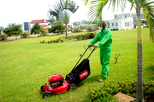 Entretien des espaces verts